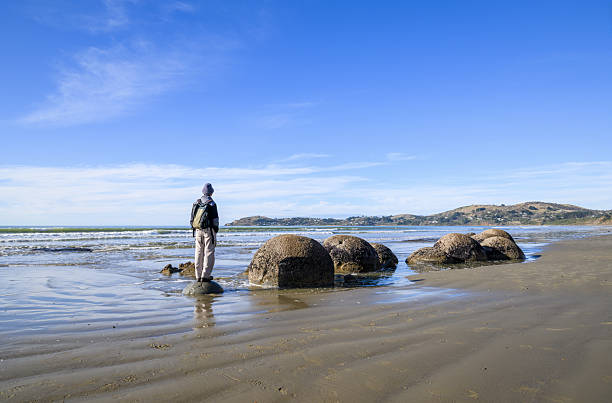 Man standing on Moeraki boulder, looking at view. Moeraki Boulders Beach. Otago.