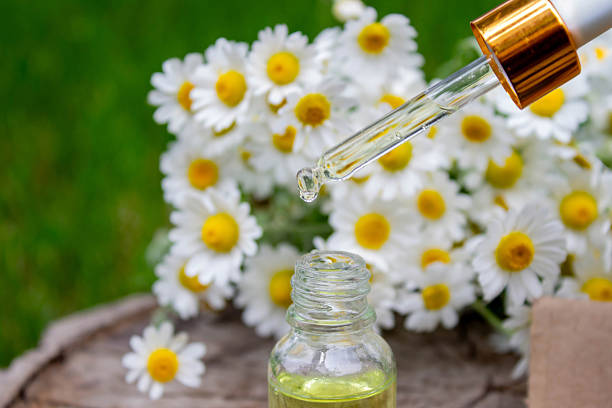 istock Chamomile Essential Oil Dropper with Fresh Flowers 2219917756
