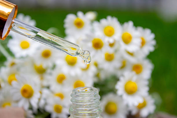istock Chamomile Essential Oil Dropper with Fresh Flowers 2219917763