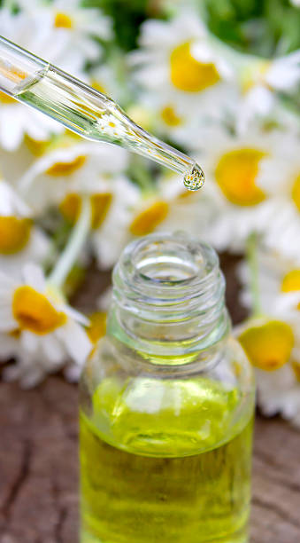 istock Chamomile Essential Oil Dropper with Fresh Flowers 2219917786