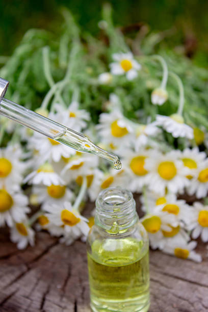 istock Chamomile Essential Oil Dropper with Fresh Flowers 2219917795