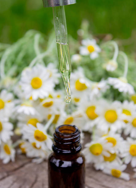 istock Chamomile Essential Oil Dropper with Fresh Flowers 2219917810