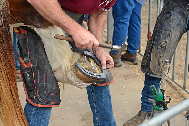 istock farriers nail on the horseshoe 2219922158