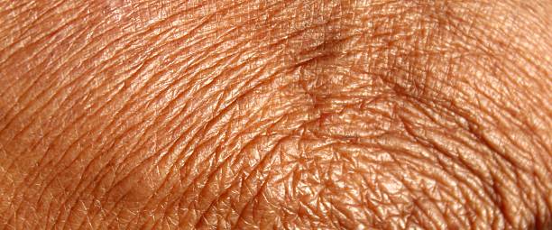 istock Wrinkled skin texture of hands in old men 2219932600
