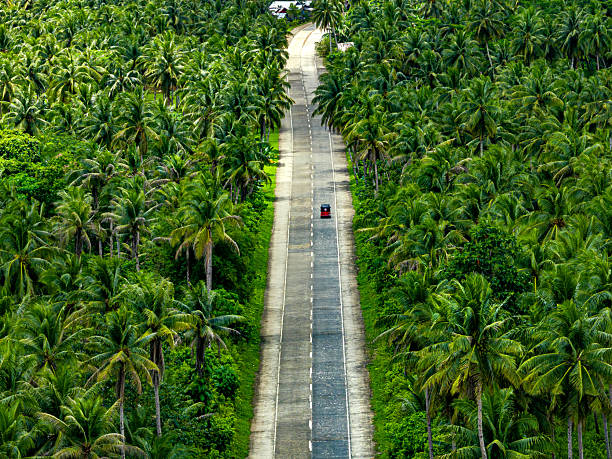 Aerial view of a serene road cutting through lush tropical landscapes filled with tall palm trees, portraying the beauty and tranquility of Siargao Island in the Philippines.