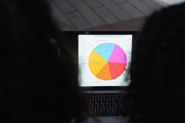University students reviewing a marketing budget distribution pie chart displayed on a laptop, focusing on financial planning and analysis