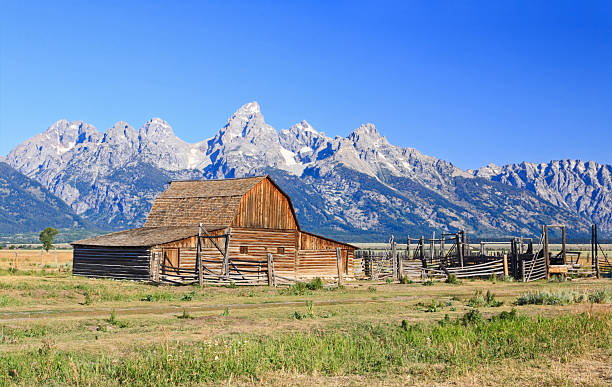 istock Moulton Barn at Grand Teton 2219945836
