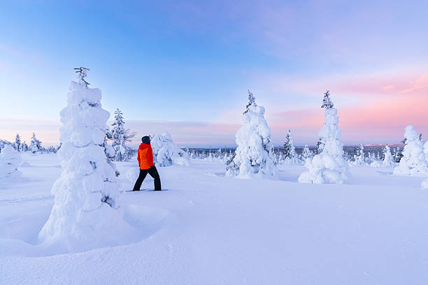 Hiker in the snowy landscape, Finland
