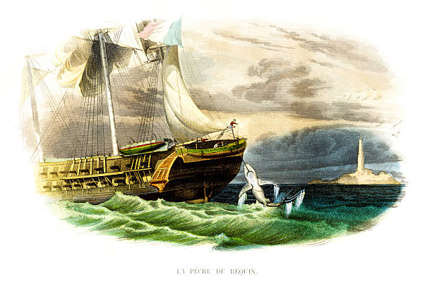 istock Shark Hunt Near the Coast – Hand-Colored 19th Century Engraving 2219951078