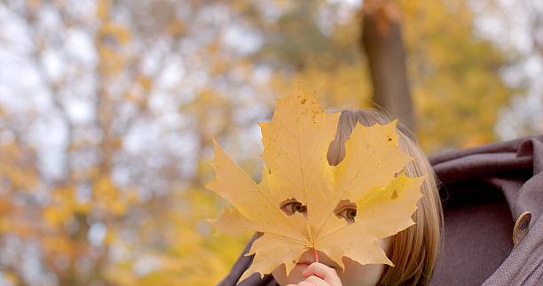 A joyful and exuberant child happily holds a bright yellow maple leaf in a picturesque autumn park. This child is surrounded by vibrant foliage, creating a delightful and enchanting scene
