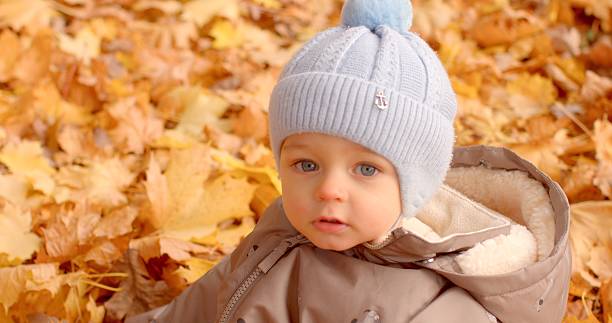 istock A joyful toddler playing in colorful Fall leaves while wearing a blue knit hat 2219952306
