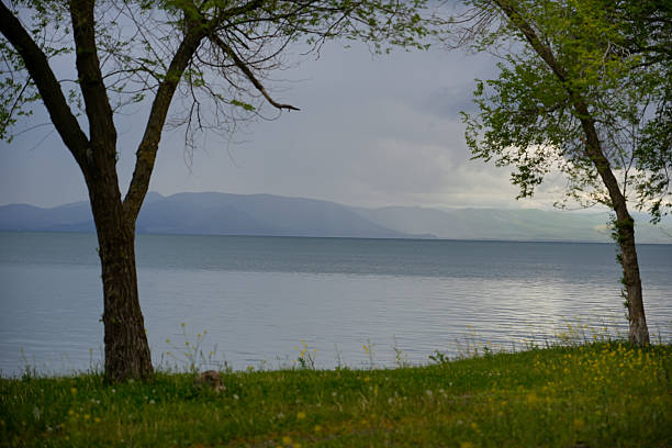 just a photo of nature