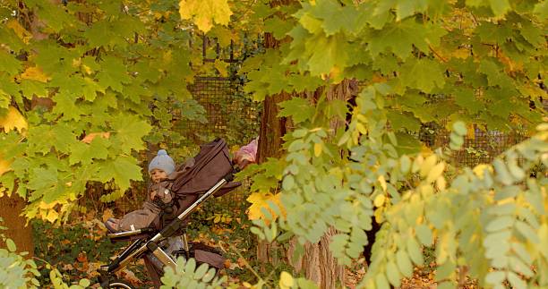 A soldier is camouflaged skillfully amidst the vibrant autumn foliage, strategically positioned in a dense forest area filled with trees, branches, and colorful leaves surrounding him
