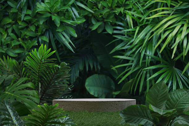 istock minimal concrete podium table top with outdoors in tropical forest nature background.natural product pedestal modern stand display,jungle paradise concept. 2219961836