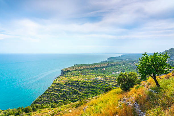 Gargano coast panoramic view and trees. Monte Sant'Angelo, province of Foggia, Puglia or Apulia region, Italy, Europe