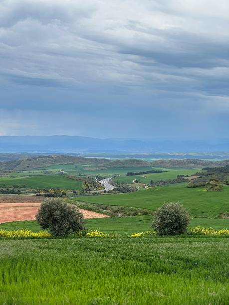 istock A landscape with a river and a valley in the background 2219963216