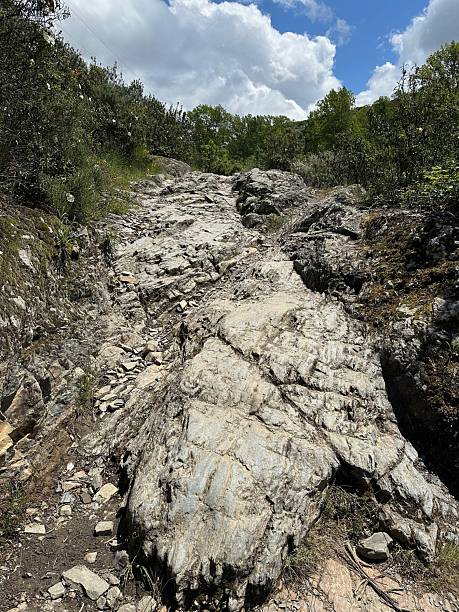 istock A rocky area with trees and a blue sky 2219963462