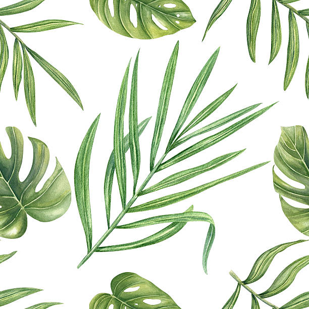 istock Tropical leaves watercolor seamless pattern isolated on white background. Monstera, philodendron, areca palm foliage illustration for wallpaper, textile design, packaging, poster, summer decor 2219971435