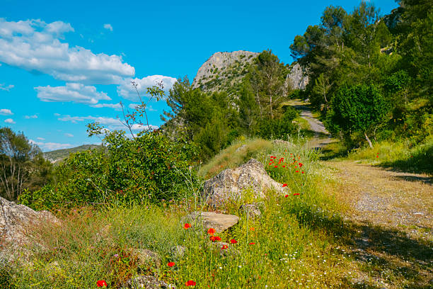 a spring landscape at the Sierra del Camorro mountain chain, part of the Subbaetic range within the Baetic Systems, with a rocky ridge visible in the background, in Cuevas de San Marcos, Spain