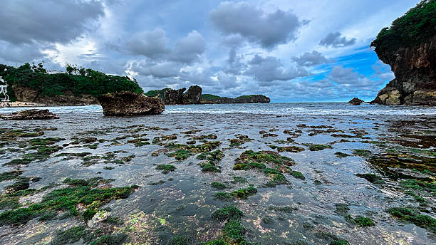 istock Low Angle View of Seaweed-Covered Rocks on Coastal Shoreline with Cloud Reflections 2219973982