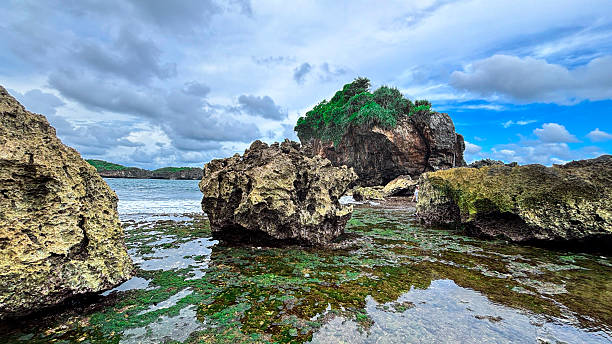 istock Low Angle View of Seaweed-Covered Rocks on Coastal Shoreline with Cloud Reflections 2219973991