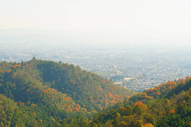 istock Scenery of Autumn Leaves 2219979840