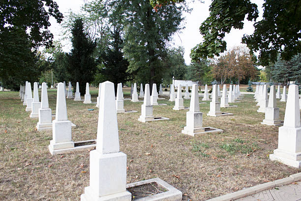 istock Military cemetery white stones. 2219985476