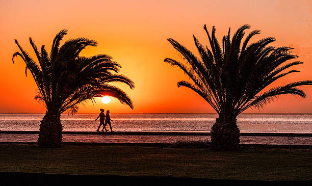 Silhouetted against a vivid orange sky, two people walk between palm trees along the Walvis Bay Lagoon in Namibia. The calm water, setting sun, and tropical framing evoke a serene coastal moment in this African seaside town.