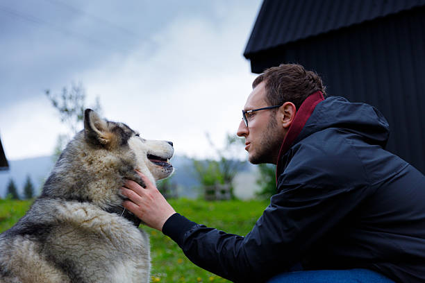 istock A Man Interacting with a Beautiful Alaskan Malamute in a Scenic Outdoor Setting Surrounded by Nature's Greenery Against a Dramatic Overcast Sky 2219986374