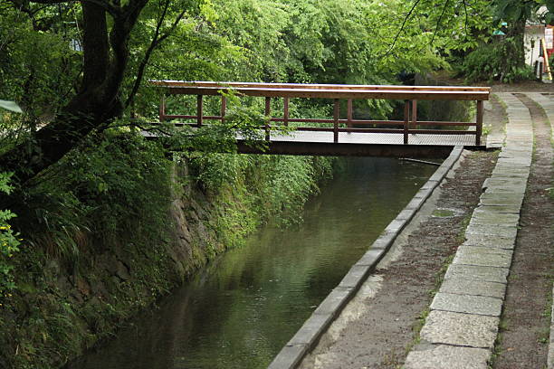 The forested hills surrounding Kyoto offer a tranquil escape into nature, where ancient trees rise above moss-covered stones and sunlight filters gently through a dense canopy of green. These woodlands, nestled at the city's edge, evoke a timeless serenity, with winding paths, whispering bamboo groves, and the subtle scent of cedar and earth. Birds call from above, and hidden shrines or torii gates occasionally appear through the foliage, blending nature with centuries of spiritual presence. Whether in the soft mist of morning or dappled in golden afternoon light, the forests around Kyoto embody the quiet soul of Japan’s natural beauty and cultural depth.