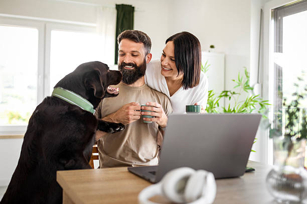 istock Couple and Pet Using Laptop Together 2219987581