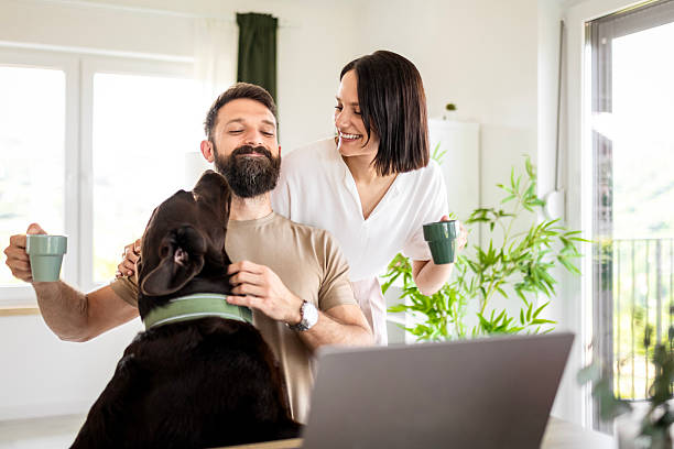 istock Teamwork at the Table with a Furry Friend 2219987641