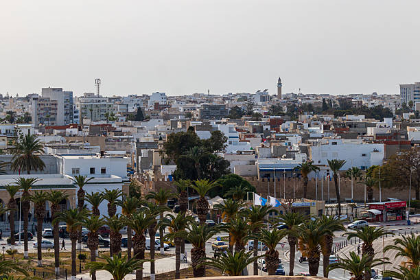 istock A cityscape with palm trees in the foreground under an overcast sky. 2219987819
