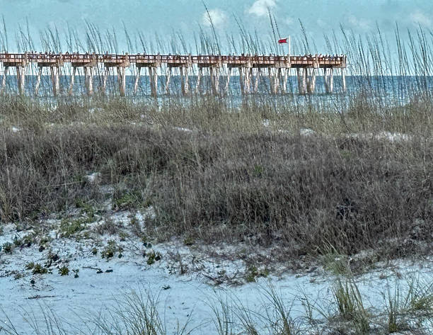 A serene daytime view captures the iconic Pensacola Beach Pier stretching into the tranquil azure waters of the Gulf of Mexico. The long wooden structure dominates the frame, leading the eye towards the distant horizon where the clear blue sky meets the ocean. In the foreground, vibrant green beach grass and subtle sand dunes provide natural texture, contrasting beautifully with the light tones of the sand and the darker expanse of the water. A distinctive red flag, visible on the pier, adds a pop of color and a focal point against the serene backdrop. This inviting coastal scene, bathed in natural daylight, perfectly encapsulates the peaceful charm and natural beauty of Florida's Gulf Coast, offering a sense of calm and escape. The composition provides ample copy space, making it versatile for various design applications.