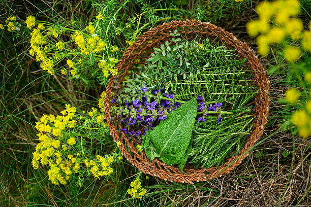Foot baths with rosemary leaves and orange slices