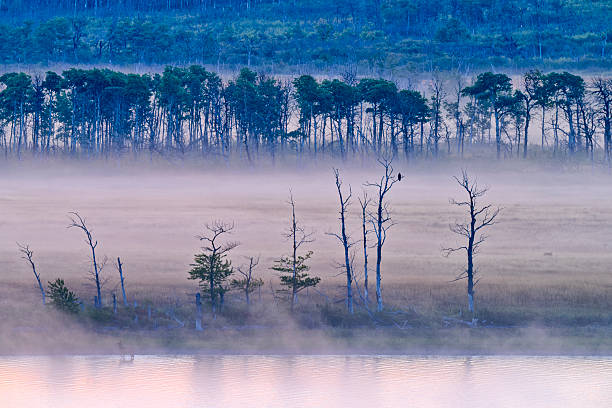 Fog on the Upper Waterton Lake shoreline at sunrise in Waterton National Park located in Alberta Canada