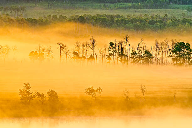 Fog on the Upper Waterton Lake shoreline at sunrise in Waterton National Park located in Alberta Canada