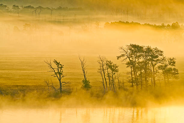 Fog on the Upper Waterton Lake shoreline at sunrise in Waterton National Park located in Alberta Canada