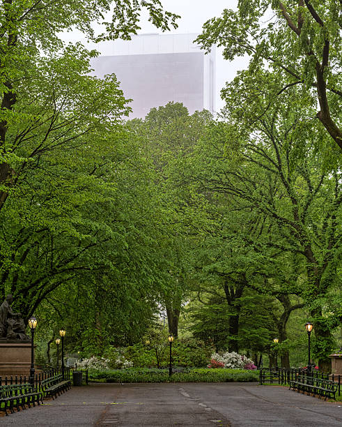 istock Central Park the Mall in late spring 2219996471