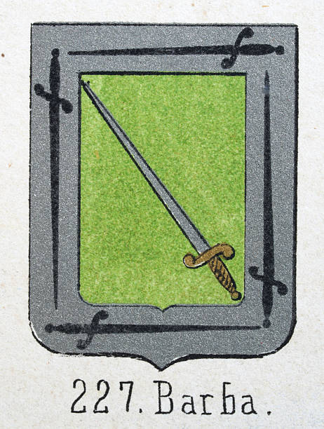 istock Medieval heraldry, Coat of arms, Shield with, Swords, Green, Silver, Border, Spanish, Vintage illustration 2219996692