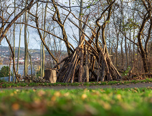teepee-shaped stick shelter in forest clearing.