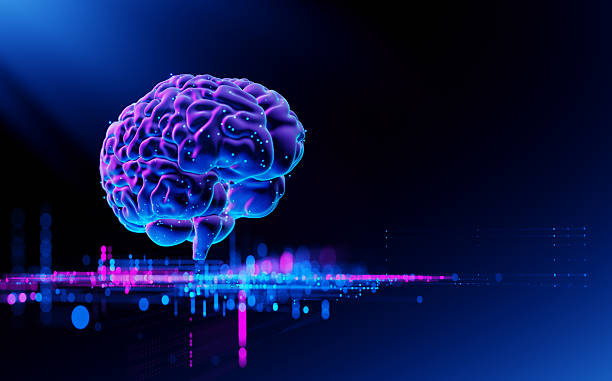 istock Human Brain - Futuristic Concept of Intelligence, science and mind 2219999853