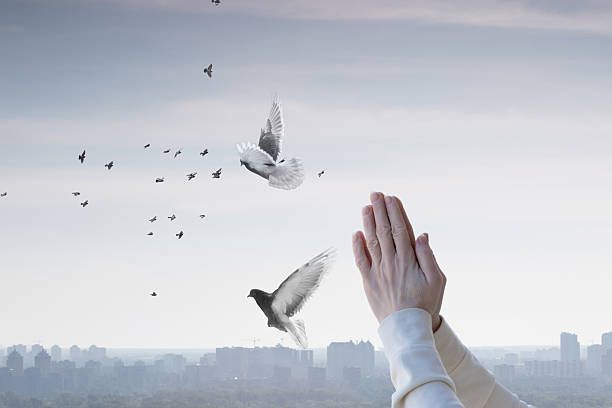 Hands raised in prayer with doves flying over a cityscape .