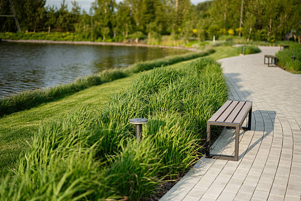 istock Serene riverside walkway surrounded by greenery with benches and tranquil scenery 2220001867