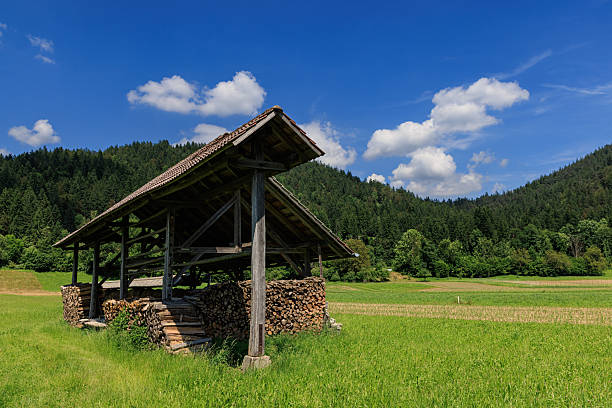 Scenic view of a traditional wooden hayrack and stacked firewood in a green rural meadow in Slovenia with forested hills and blue sky in the background.