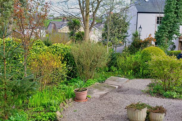 istock A lush garden leads to a house with a stone path. 2220005895