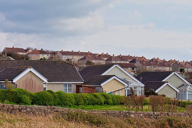 istock A row of houses stands under a cloudy sky, bordered by a grassy area. 2220005928