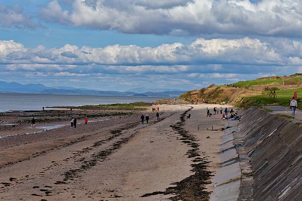 A beach with dark sand and seaweed stretches towards a distant shoreline under a cloudy sky.