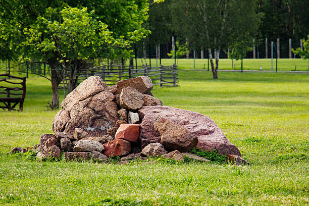 A large natural pile of brown rocks lies on vibrant green grass, creating a striking contrast between earthy tones and fresh greenery. Ideal for themes of construction, landscaping, nature, or rustic environments.