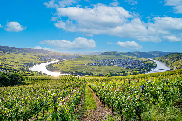 istock famous Moselle Sinuosity in Trittenheim 2220015211